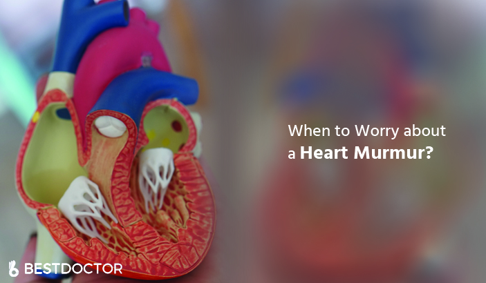 When to Worry about a Heart Murmur?