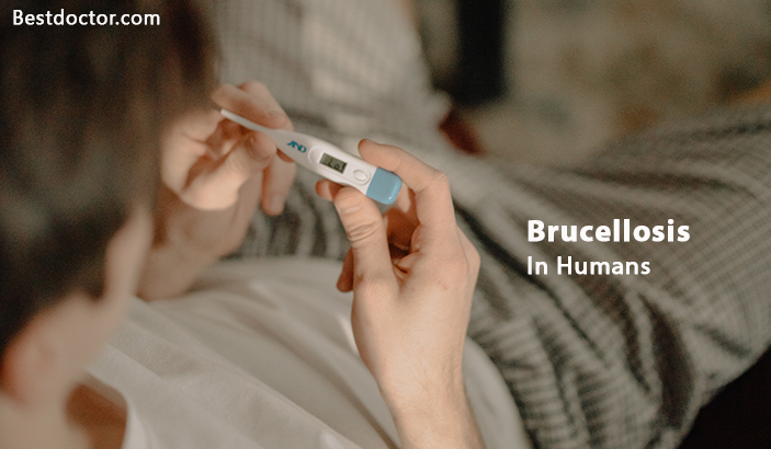 Brucellosis In Humans