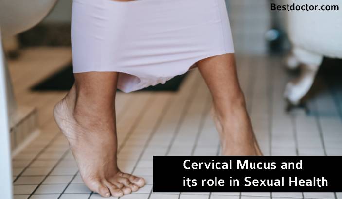 Cervical Mucus and its role in Sexual Health